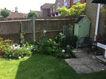 Customer review image