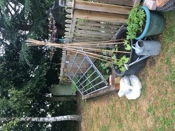 Customer review image