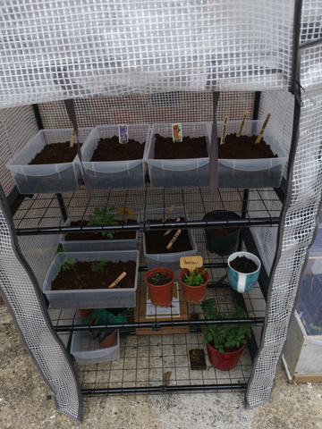 Customer review image