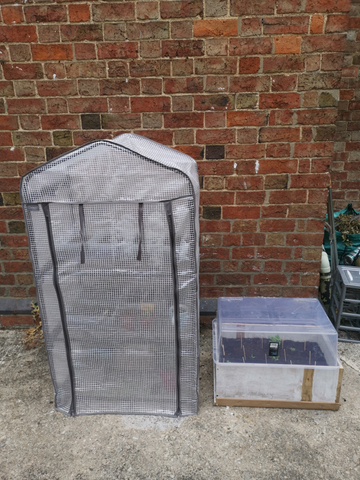 Customer review image