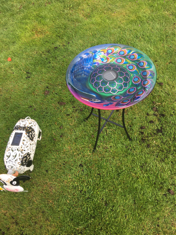 Customer review image