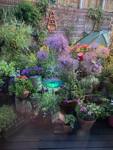 Customer review image