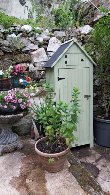 Customer review image