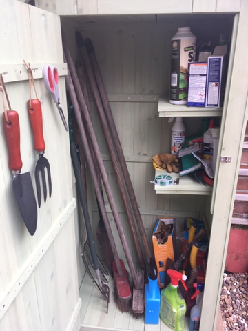 Customer review image