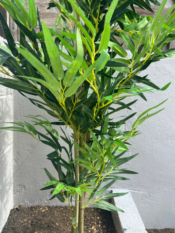 Customer review image