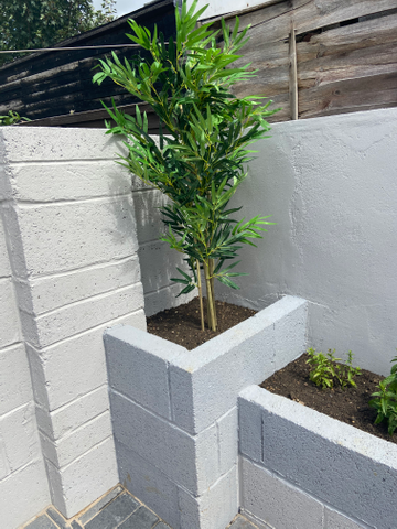 Customer review image