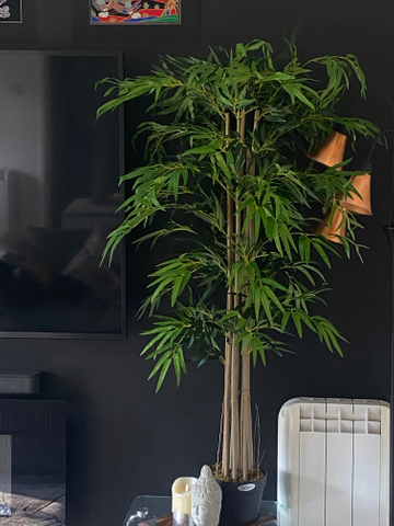 Customer review image