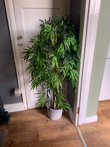 Customer review image