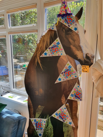 Inflatable Horse Life Size Cardboard Horse Cutout - 40x75 Inch Standup ...