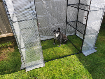 Customer review image