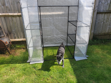 Customer review image