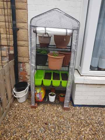 Customer review image