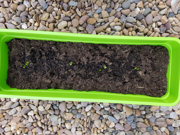 Customer review image