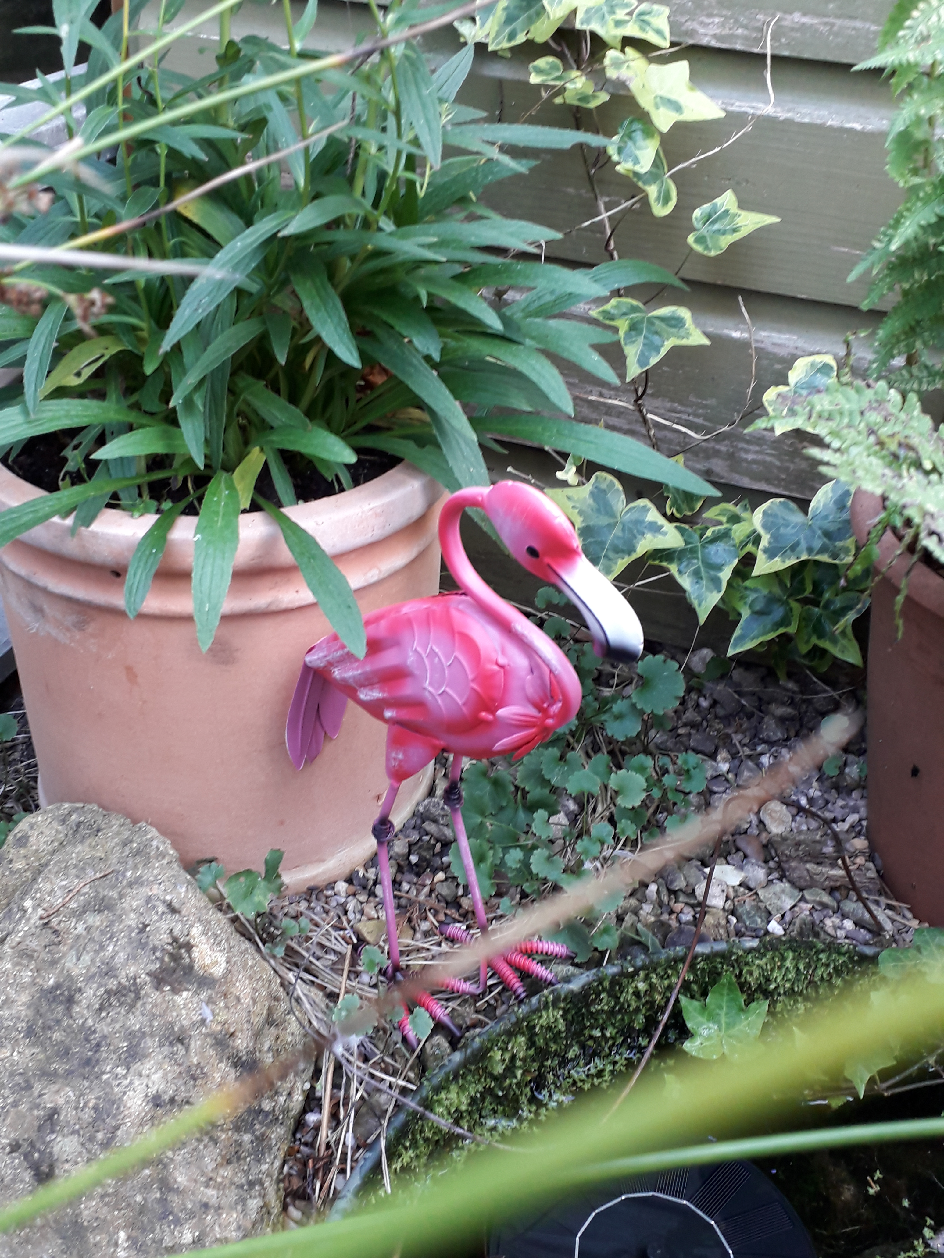 VOSSOT Lot de 50 mini flamants roses et canards en résine - Mini figurines de flamant rose en résine petites rose - Minuscules décorations de flamant rose - Figurines d'animaux flamant