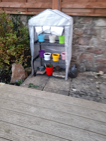 Customer review image