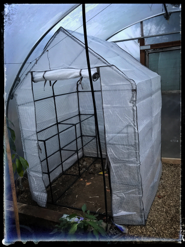 Customer review image