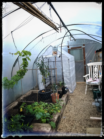 Customer review image