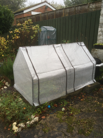 Customer review image