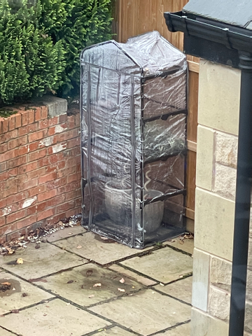 Customer review image