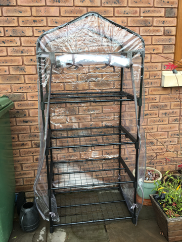 Customer review image