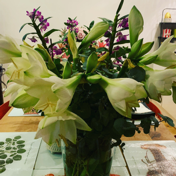 Review by Alasdair Morton