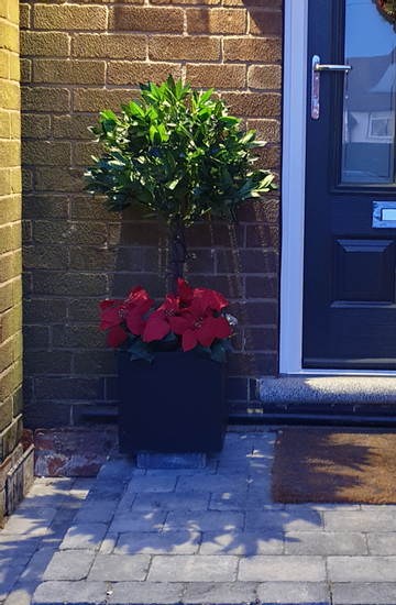 Customer review image