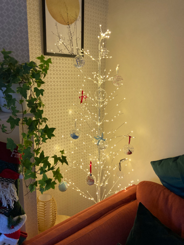 Customer review image