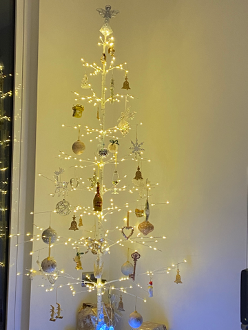 Customer review image