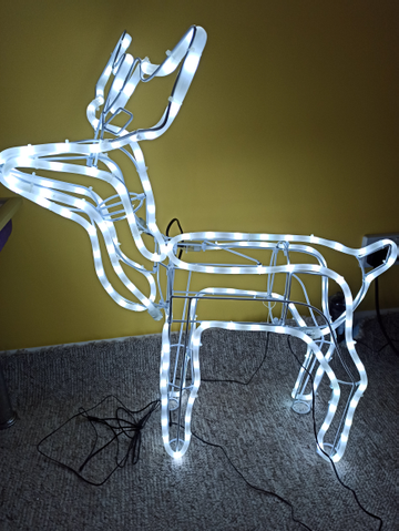 Customer review image