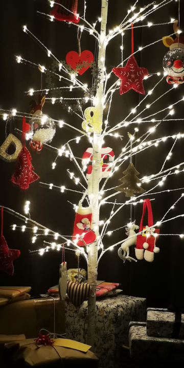 Customer review image