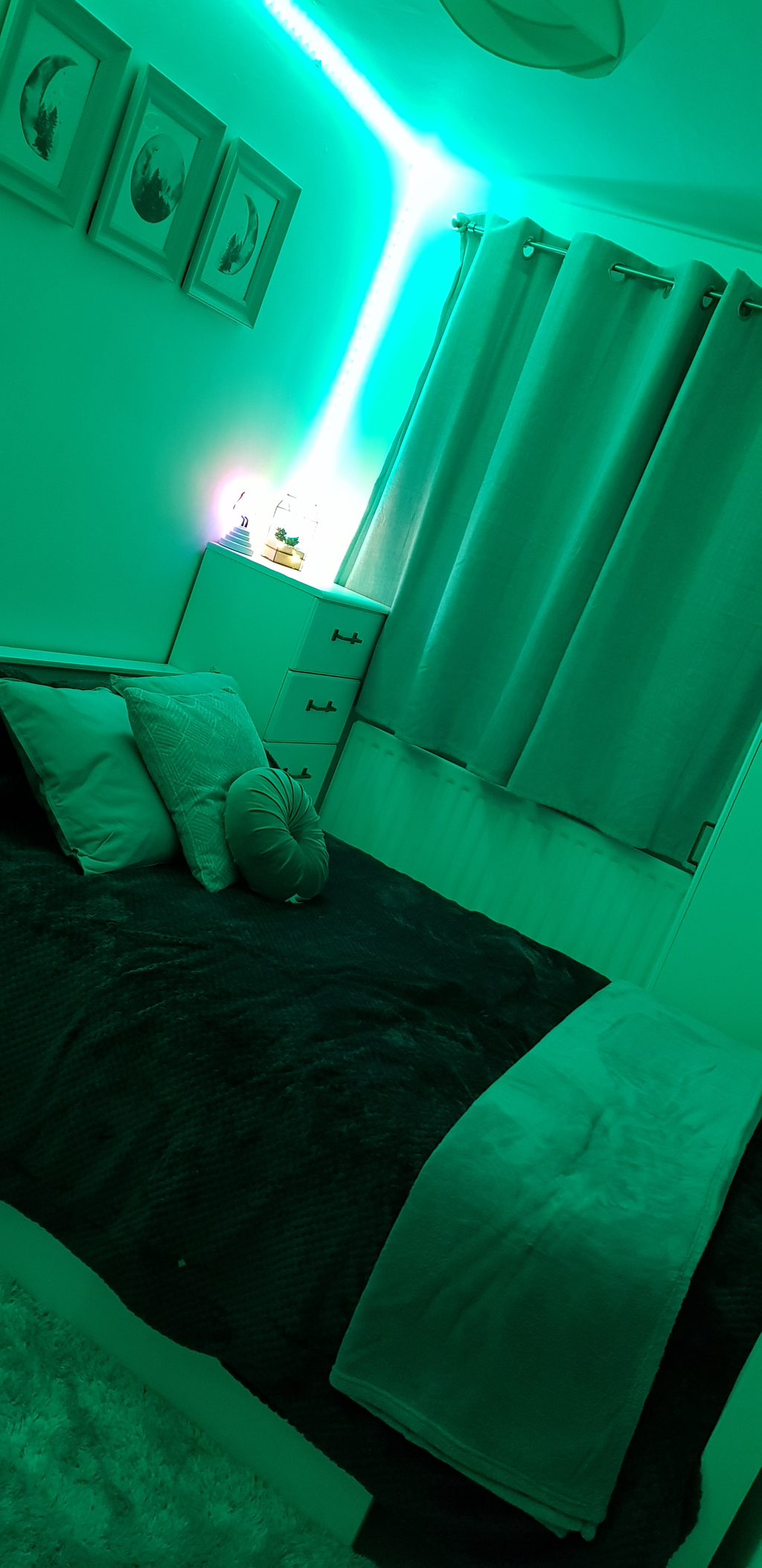 Customer review image