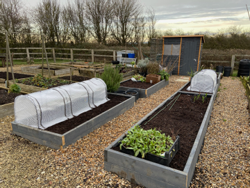 Customer review image