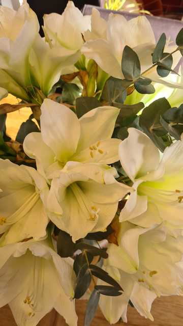 Review by Petra Slade