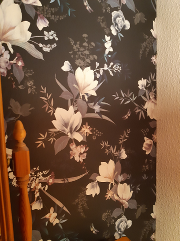 Showing wallpaper Lipsy London Lotus Floral Black Wallpaper - 144053 on the wall