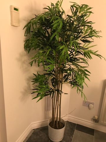 Customer review image