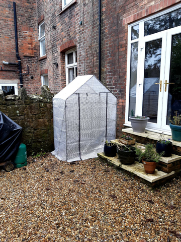 Customer review image