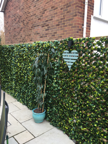 Customer review image