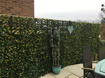 Customer review image