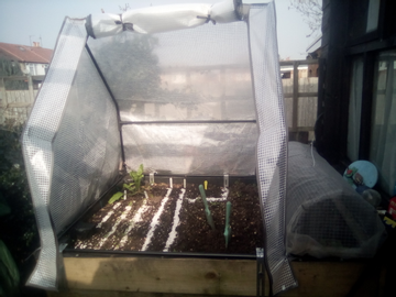 Customer review image