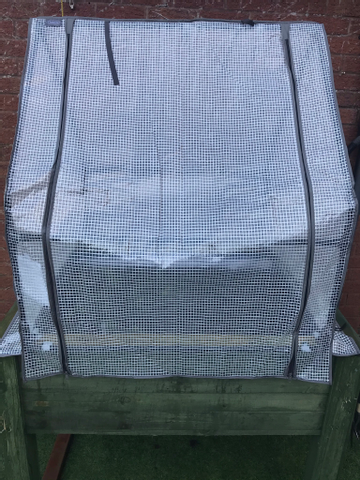 Customer review image