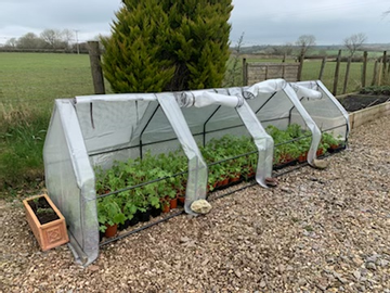 Customer review image