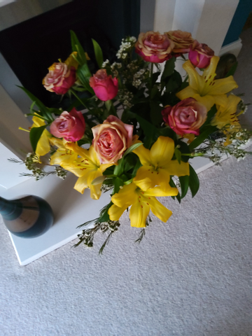 Review by Paul Wilkinson