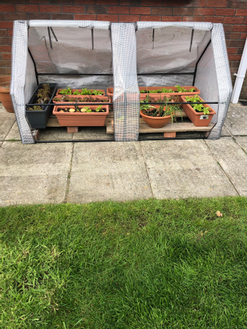 Customer review image