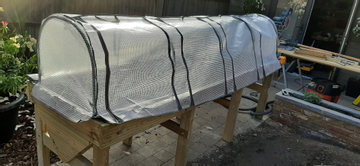 Customer review image