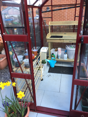 Customer review image