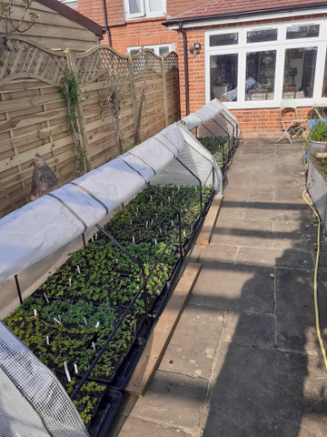 Customer review image