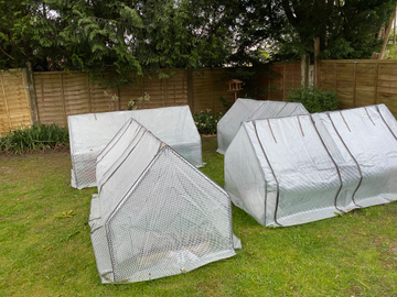 Customer review image