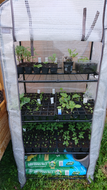 Customer review image