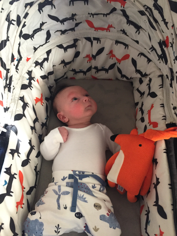 美品☆COSATTO ウッシュ3(ミスターフォックス) Woosh XL Carrycot Mister Fox – Cosatto Store