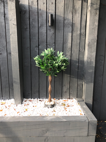 Customer review image